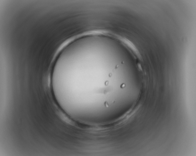 X0000114061420200910051207