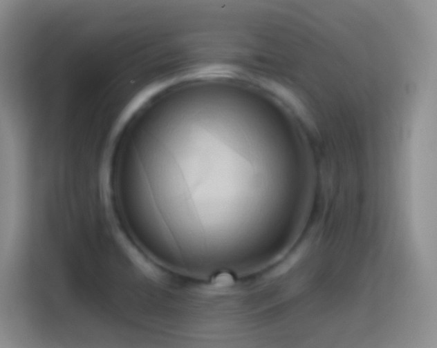 X0000114061422200910051207