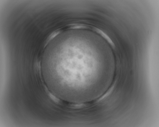 X0000114061425200910051207
