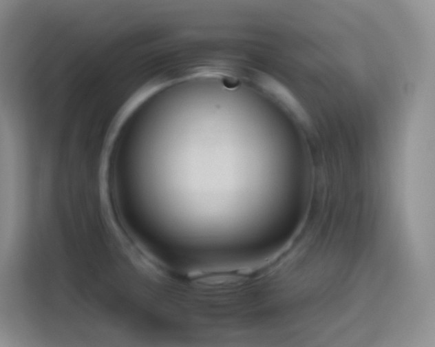 X0000114061427200910051207