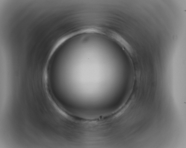 X0000114061428200910051207