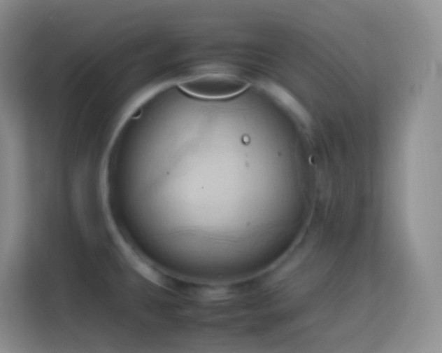 X0000114061431200910051207