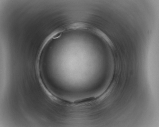 X0000114061434200910051207