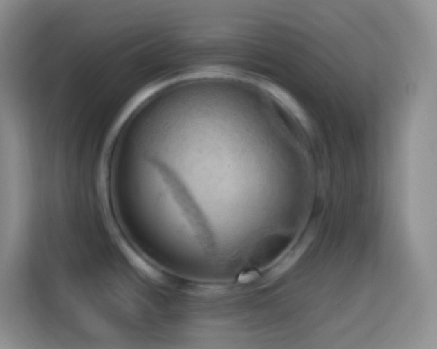 X0000114061438200910051207
