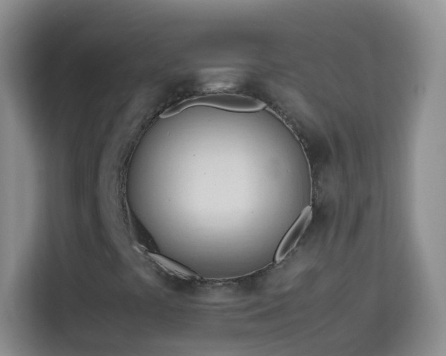 X0000114061441200910051207