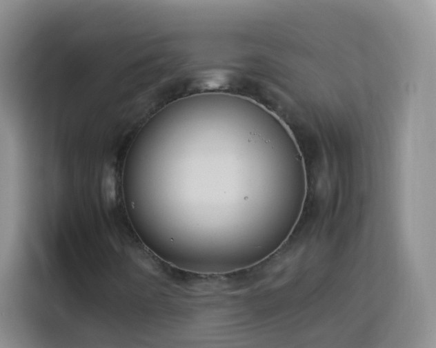 X0000114061442200910051207
