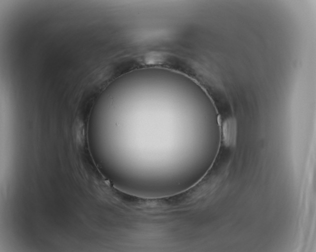 X0000114061443200910051207