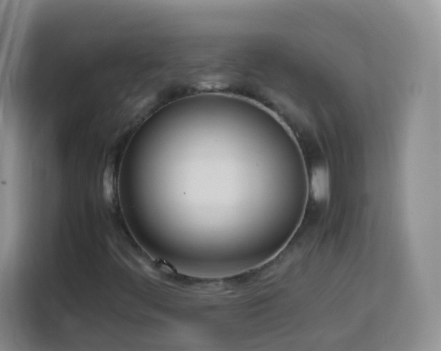 X0000114061444200910051207