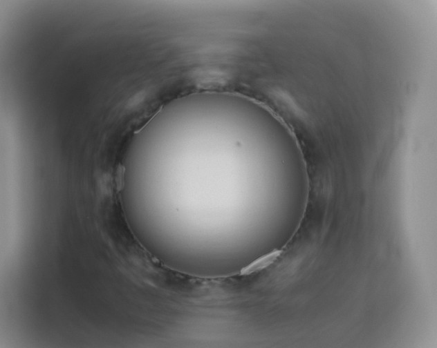 X0000114061445200910051207