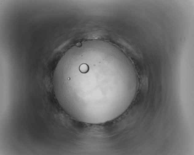 X0000114061446200910051207