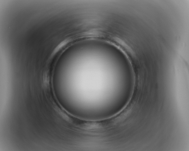 X0000114061450200910051207