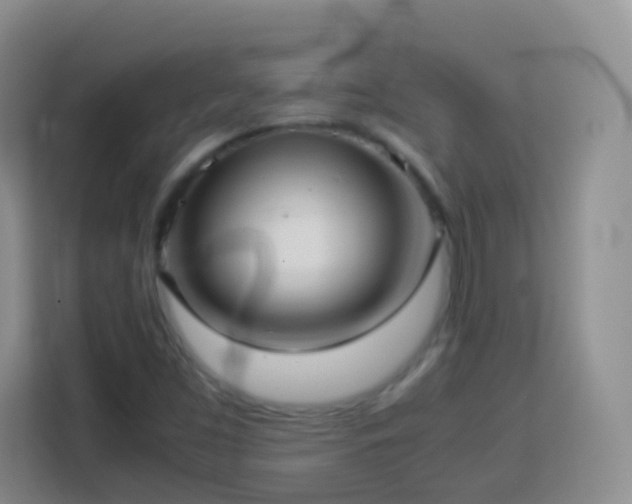 X0000114061453200910051207