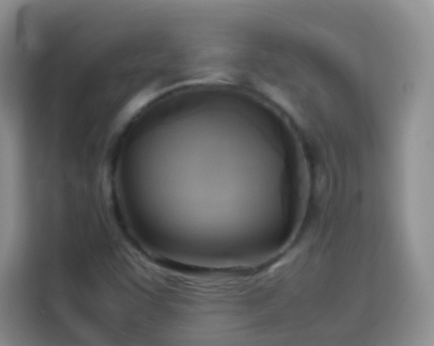 X0000114061455200910051206