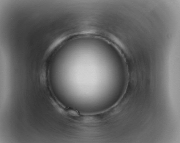 X0000114061456200910051206