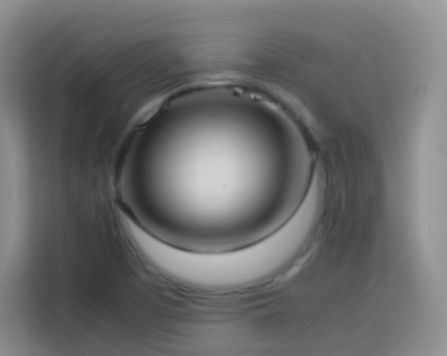 X0000114061457200910051206