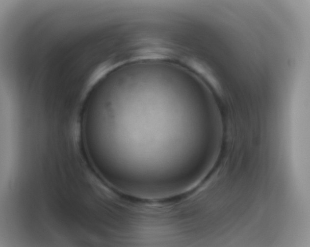 X0000114061459200910051206