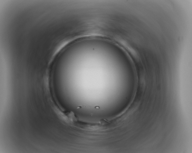 X0000114061460200910051206