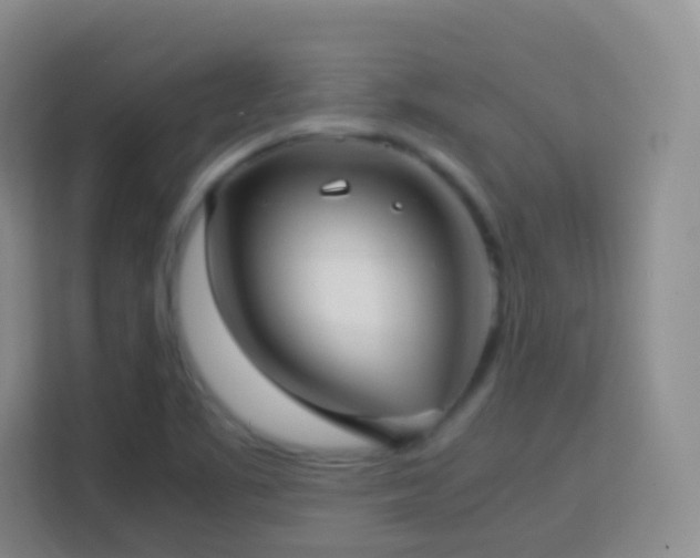 X0000114061461200910051206