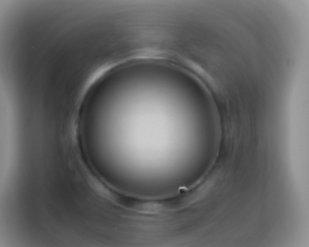 X0000114061463200910051206