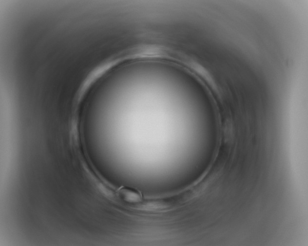 X0000114061464200910051206