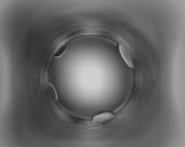 X0000114061465200910051206