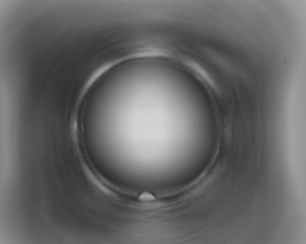 X0000114061468200910051206