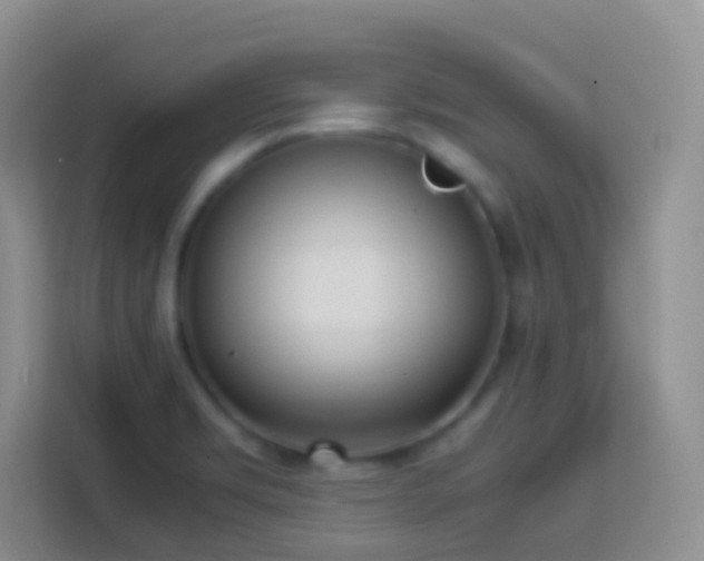 X0000114061469200910051206