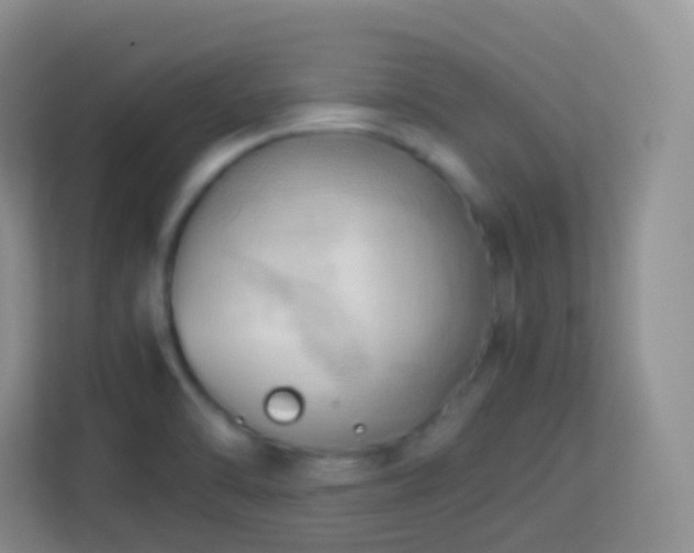 X0000114061470200910051206