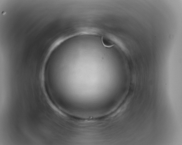 X0000114061471200910051206