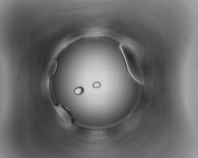 X0000114061472200910051206