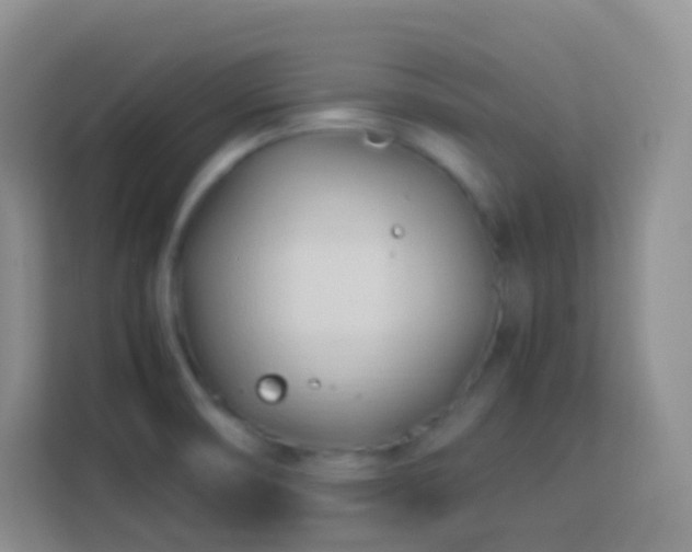 X0000114061474200910051206