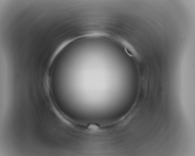X0000114061476200910051206