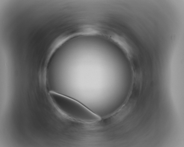 X0000114061477200910051206