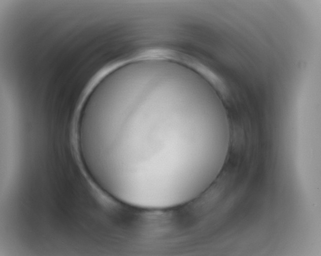 X0000114061478200910051206