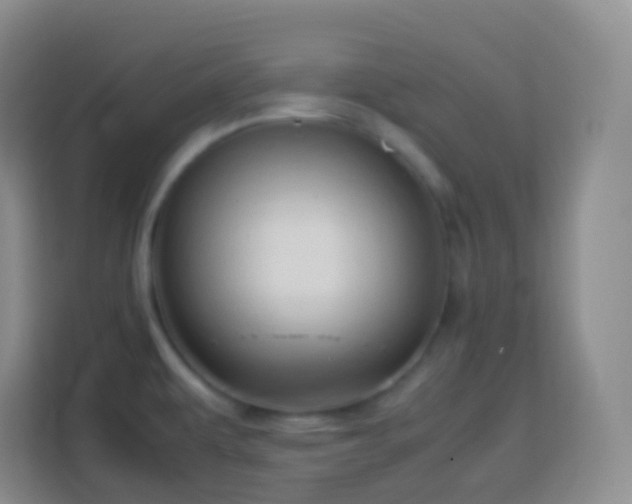 X0000114061479200910051206