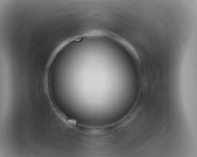X0000114061480200910051206
