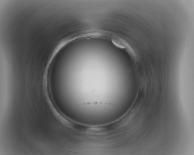 X0000114061483200910051206