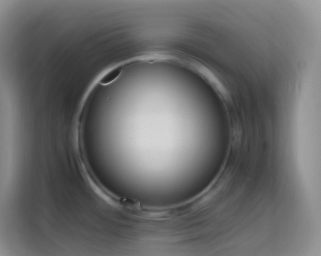 X0000114061484200910051206
