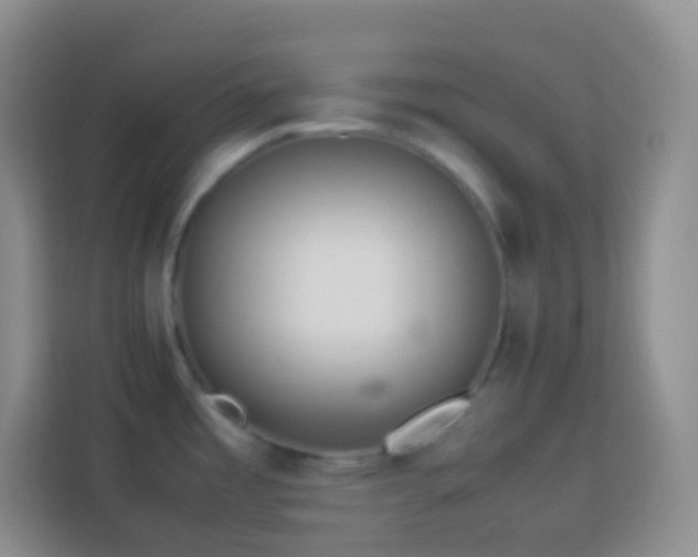 X0000114061485200910051206