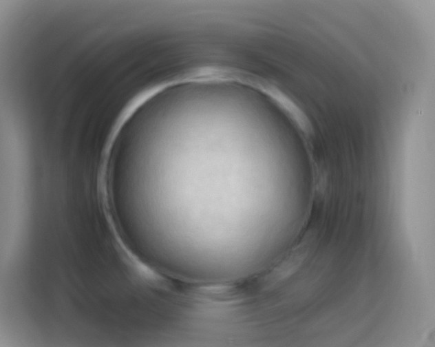 X0000114061486200910051206