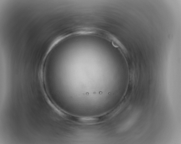 X0000114061487200910051206