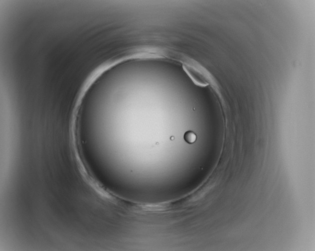 X0000114061488200910051206