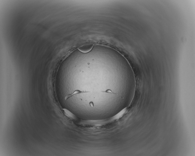 X0000114061489200910051205