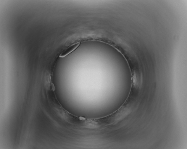 X0000114061492200910051205