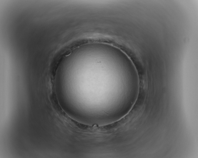 X0000114061493200910051205