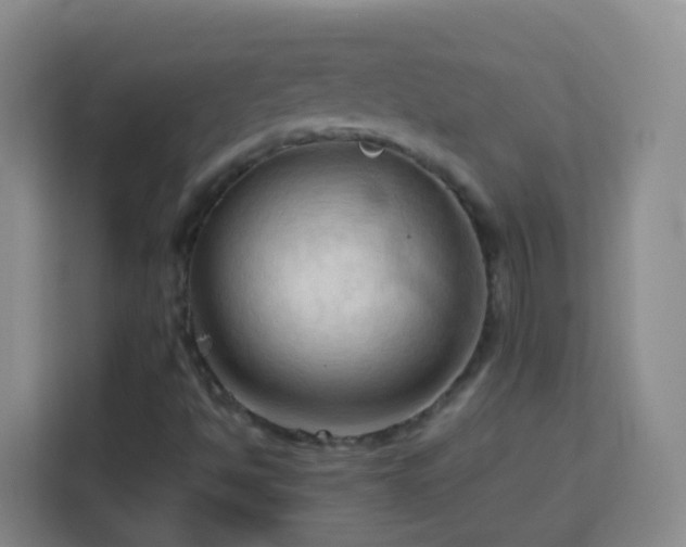 X0000114061494200910051205