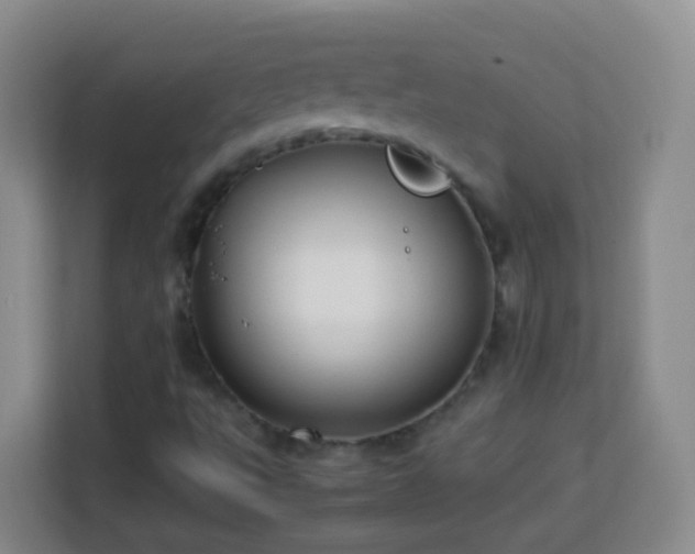 X0000114061495200910051206