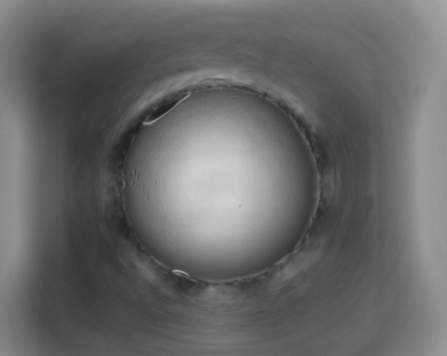 X0000114061496200910051206