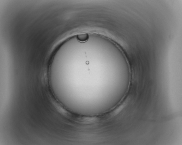 X0000114061498200910051206