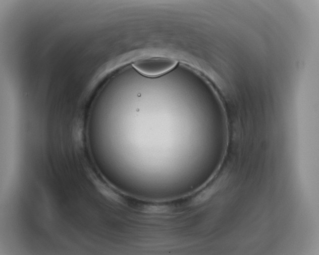 X0000114061499200910051206